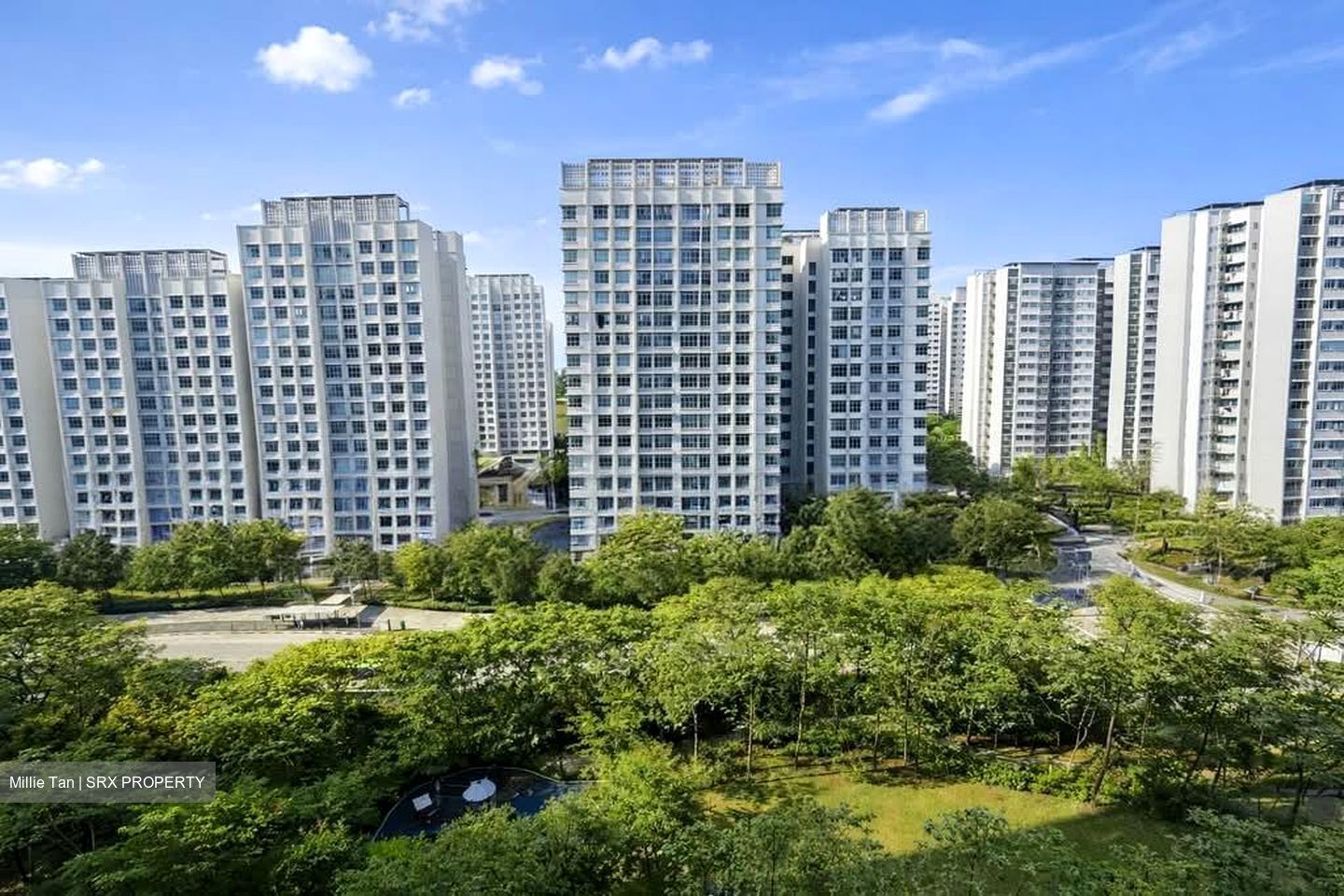 Blk 224C Matilda Edge (Punggol), HDB 4 Rooms #538403251